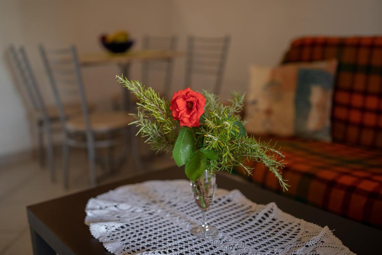 Apartman Kristo Vir Exteriér fotografie
